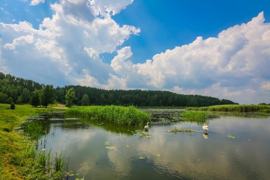Warminska Winnica Барчево Екстериор снимка